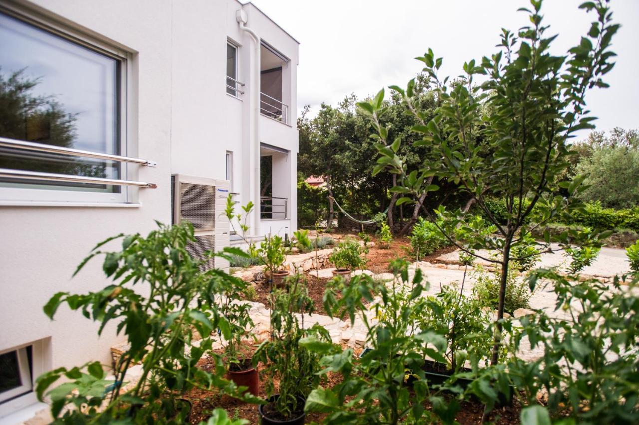 Apartments Jedro Petrcane Exterior photo